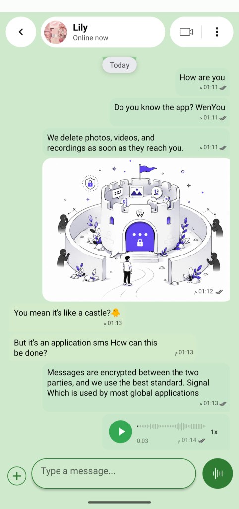 WenYou blue chat theme
