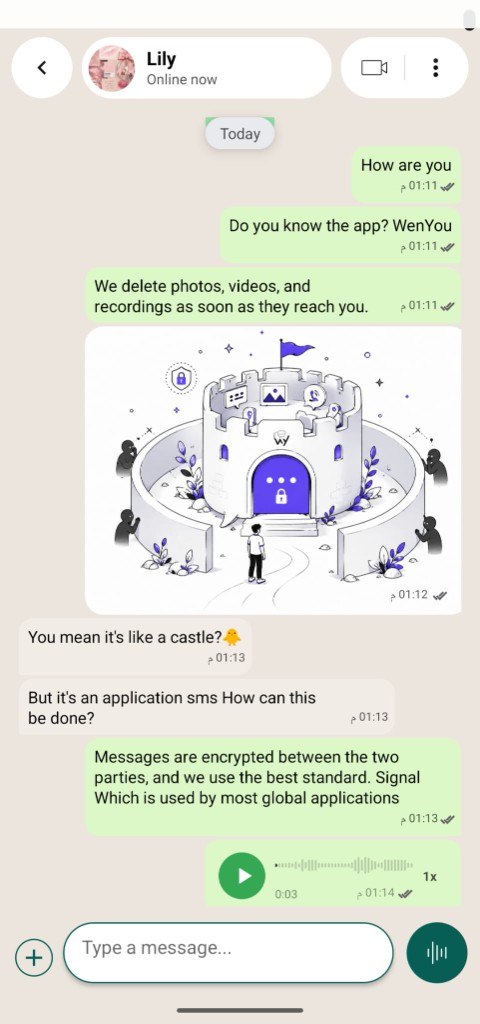 WenYou green chat theme