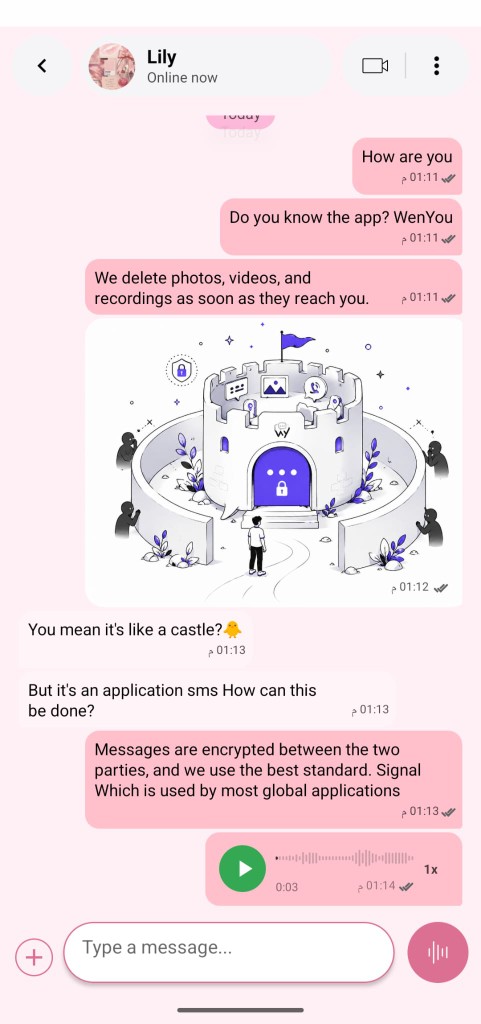 WenYou pink chat theme
