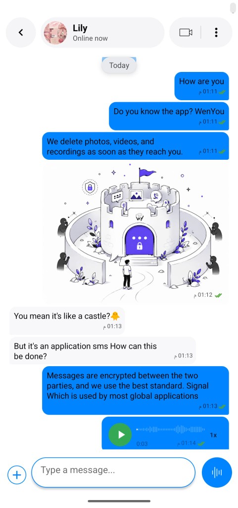 WenYou purple chat theme